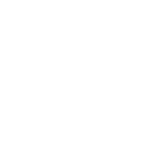 Logo PIZZELLA blanc